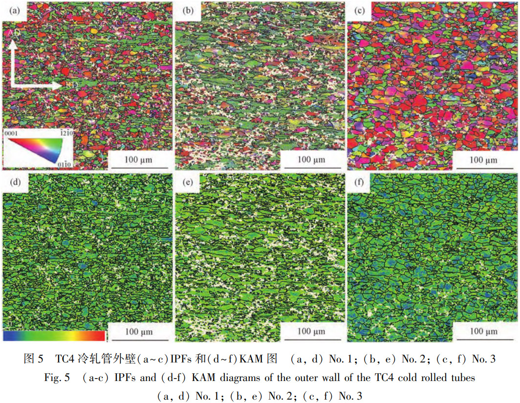 750~850℃梯度退火處理對多道次冷軋TC4無縫管再結晶占比、晶粒分布及拉伸斷裂行為的影響規律研究